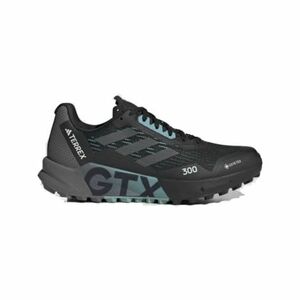 Női terepfutó cipők ADIDAS Terrex Agravic Flow 2.0 GTX core black grey six dash grey kép