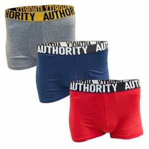 Férfi boxeralsók AUTHORITY B - BAPE 3PCK COLOR MIX kép