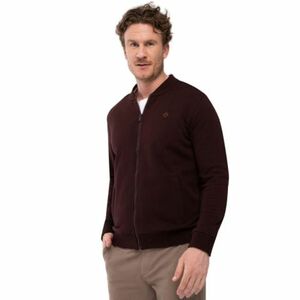 Férfi zipzáras pulóver VOLCANO B-COLLEGE-403-BURGUNDY kép