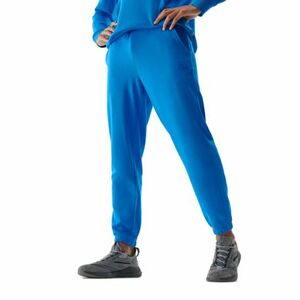 Férfi melegítőnadrágok 4F TROUSERS-AW23TTROM453-33S-BLUE kép