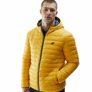 Férfi túrabunda 4F DOWN JACKET-AW23TDJAM242-20S-DEEP BLACK kép