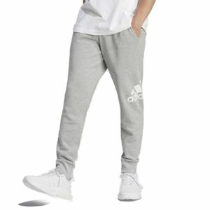Férfi melegítőnadrágok ADIDAS M BL FT PT-HA4345-Grey kép