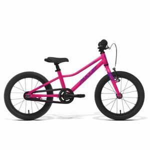 Lány hegyi kerékpár AMULET 16 Team, raspberry silver kép