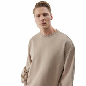Férfi kapucnis pulóver 4F SWEATSHIRT-WSS24TSWSM1027-83S-BEIGE kép