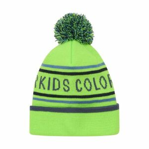 Gyerek téli sapka COLOR KIDS Hat - Logo CK-741915.2144-Green Gecko kép