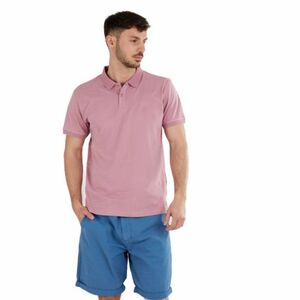 Férfi pólóing rövid ujjú FUNDANGO Incognito Mono Poloshirt-345-raspberry kép