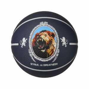 Kosárlabdázó labda NIKE LEBRON PLGRD 07 PI PH BK PH kép