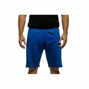 Férfi melegítőnadrág rövidnadrág AUTHORITY TS-PINTO blue kép