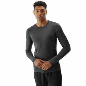 Férfi hosszú ujjú edzőpóló 4F LONGSLEEVE FNK-WAW24TFLOM273-22M-ANTHRACITE MELANGE kép