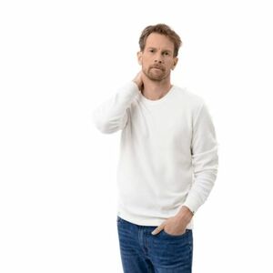 Férfi kapucnis pulóver VOLCANO TERRY 101-CREAM kép