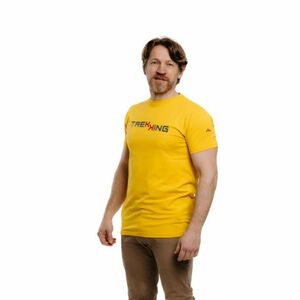 Férfi rövid ujjú túrázó póló EVERETT T-TREKK yellow kép