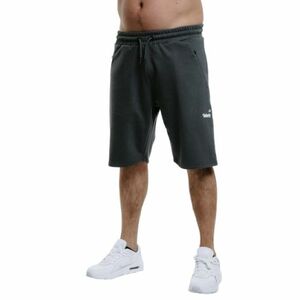 Férfi melegítőnadrág rövidnadrág AUTHORITY TS-KILTO grey kép