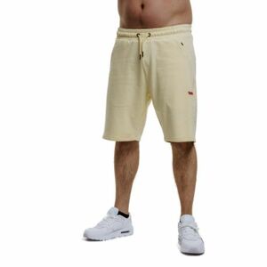 Férfi melegítőnadrág rövidnadrág AUTHORITY TS-KILTO flam kép