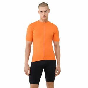 Férfi rövid ujjú edzőpóló 4F TSHIRT FNK M1285-70S-ORANGE kép
