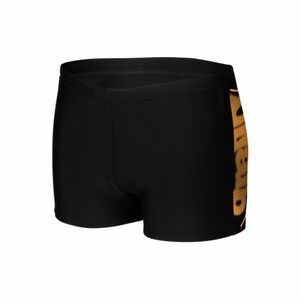 Férfi úszó boxeralsók ARENA MENS BRIGHT GLARE SWIM SHORT kép