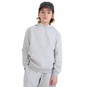 Fiú kapucnis pulóver zipzárral 4F JUNIOR SWEATSHIRT-JWMM00TSWSM1860-25M-GREY kép