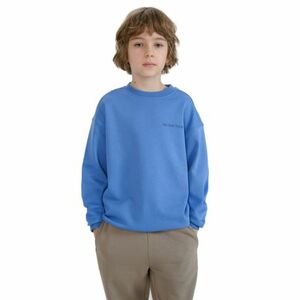 Fiú kapucnis pulóver 4F JUNIOR SWEATSHIRT-JWSS25TSWSM1713-34S-BLUE kép