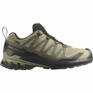 Férfi futó trail cipők SALOMON XA Pro 3D V9 GTX M dried herb black olive night kép