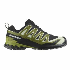 Férfi futó trail cipők SALOMON XA Pro 3D V9 GTX M black lime cream dark citron kép