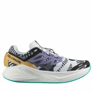 Férfi futócipők SALOMON Aero Glide 3 Proto Pack M white black waterfall kép