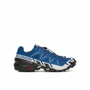 Férfi futó trail cipők SALOMON Speedcross 6 GTX M poseidon black lunar rock kép