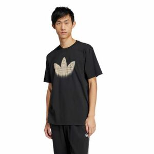 Férfi rövid ujjú póló ADIDAS ORIGINALS SKELETON TR TEE-JI5871-Black kép