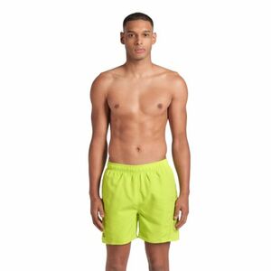 Férfi fürdőnadrág ARENA FUNDAMENTALS LOGO BOXER R-ARTIC LIME-MANGROVE kép
