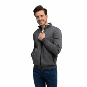 Férfi zipzáras pulóver VOLCANO B-SWED-701M-Grey MEL kép
