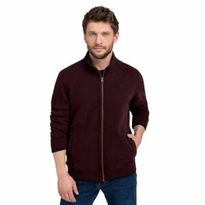 Férfi zipzáras pulóver VOLCANO B-LED-403-BURGUNDY kép