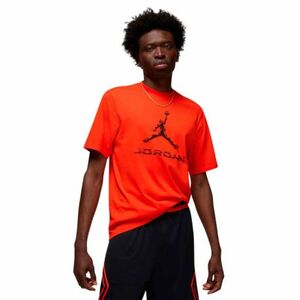 Férfi rövid ujjú edzőpóló NIKE JORDAN M DF JD SPRT BRND SS CREW kép