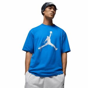 Férfi rövid ujjú póló NIKE JORDAN M BRK COL JUMPMAN SS CREW kép