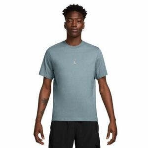 Férfi rövid ujjú edzőpóló NIKE JORDAN M J DF SPRT JDN SS CREW kép