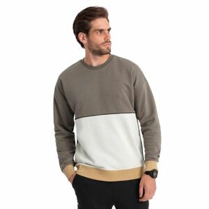 Férfi kapucnis pulóver OMBRE Sweatshirt B1673 V-7 dark brown kép