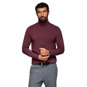 Férfi hosszú ujjú póló OMBRE Longsleeve OM-LSCL-0130 V-6 burgundy kép