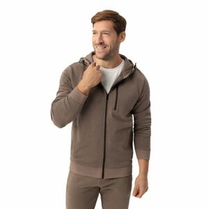 Férfi zipzáras pulóver VOLCANO B-BOGY-BEIGE kép