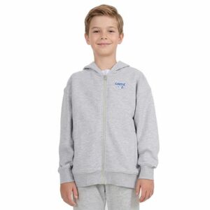 Fiú kapucnis pulóver zipzárral 4F JUNIOR SWEATSHIRT M2326-25M-GREY MELANGE kép