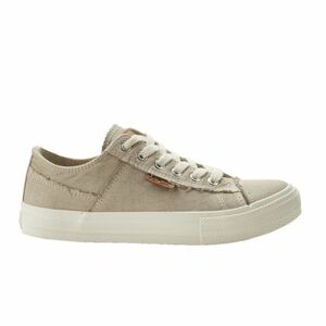 Női szabadidőcipők LEE COOPER Darcey W light grey kép