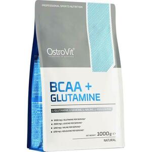 BCAA + Glutamine italpor 1000 g kép