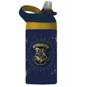 Harry Potter 473 ml (EWA289HP) kép