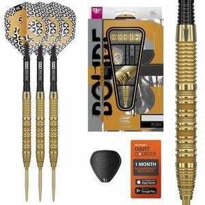 Darts szett steel Target SP Bolide Envy 01 - 22g, 90% kép