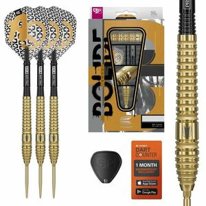 Darts szett steel Target SP Bolide Envy 03 - 26g, 90% kép