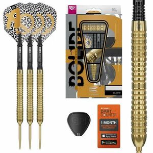 Darts szett steel Target SP Bolide Envy 05 - 24g, 90% kép