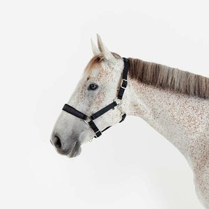 Fouganza Kötőfék, nagyló méret - Nubuck kép