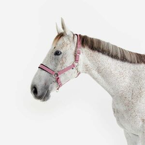 Fouganza Kötőfék, nagyló méret - Nubuck kép