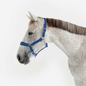 Fouganza Kötőfék, ló méret - Nubuck kép