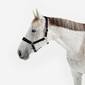 Fouganza Kötőfék, nagyló méret - Nubuck kép