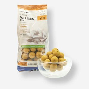 Caperlan Bojli pontyozáshoz, scopex ízű, 25 mm, 1 kg - Wellmix Plus kép