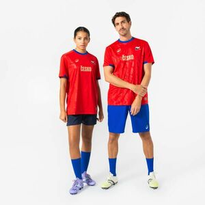 Kipsta Felnőtt futball mez, szurkolói - Csehország kép