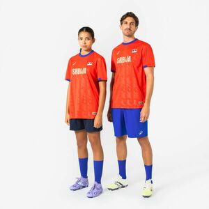 Kipsta Felnőtt futball mez, szurkolói - Szerbia kép