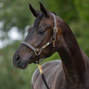 Kerbl Kötőfék, bőr, nagyló méret kép